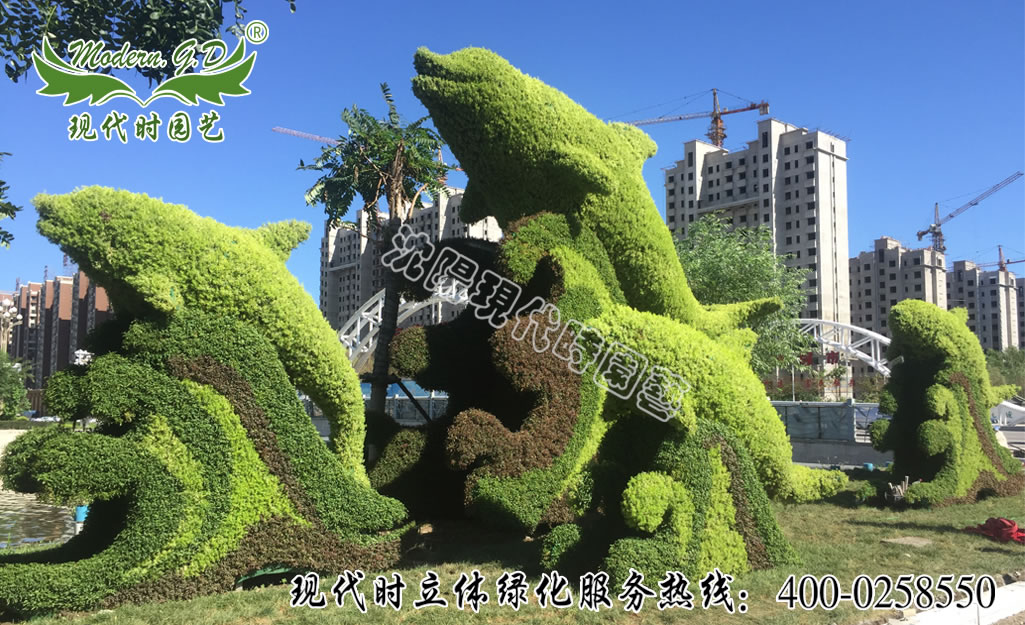 ��ɫ�ݵ���